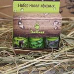 Set of essential oils (white spruce, mint, eucalyptus)