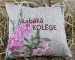 Aromātiskais spilventiņš ar uzrakstu "Labākā kolēģe" novietots uz siena fona.