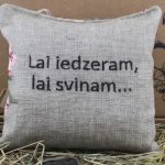 Aromātiskais spilventiņš ar uzrakstu "Tu esi GUDRS" novietots uz siena fona.