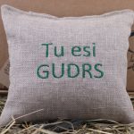 Aromātiskais spilventiņš ar uzrakstu "Tu esi GUDRS" novietots uz siena fona.
