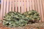Лавровый банный веник – аромат, мягкое парение и дух древних традиций 🌿🍃 — изображение 5