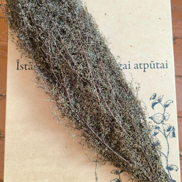 Pirts slotiņa tuvplānā uz dāvanu kastes