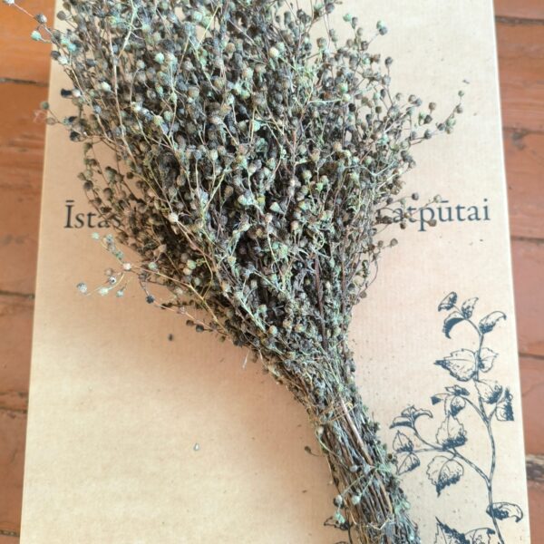 Pirts slotiņa uz dāvanu kastes ar ziedu struktūru